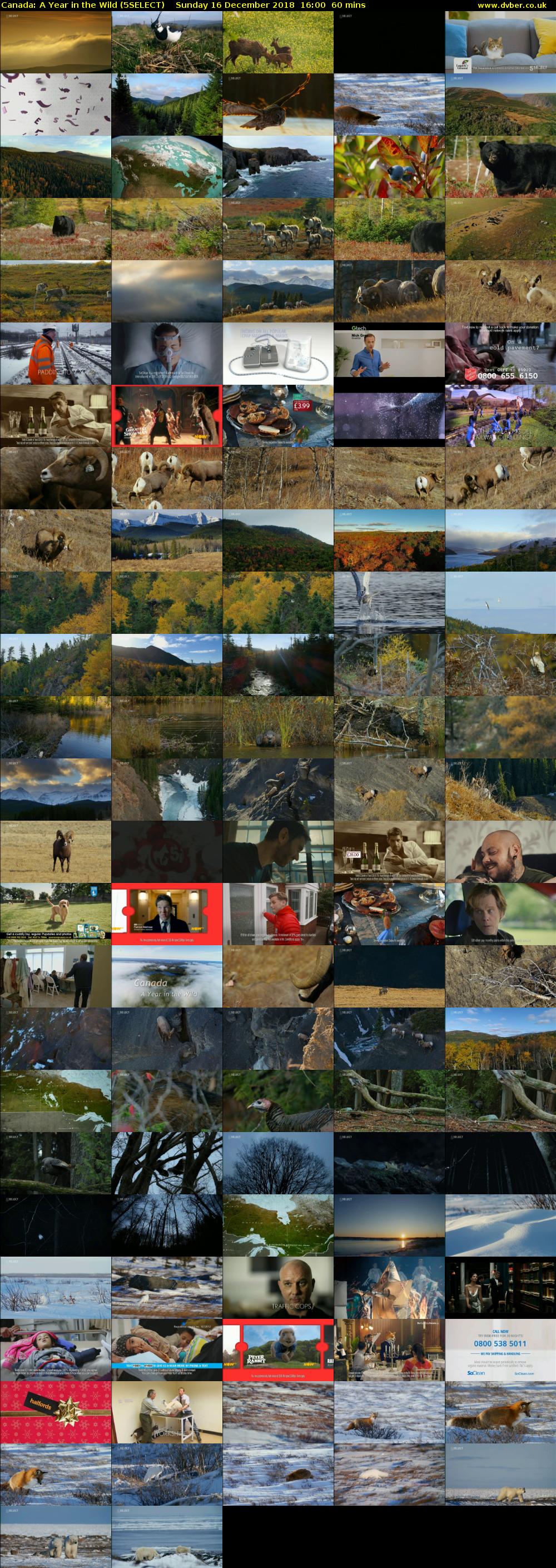 Canada: A Year in the Wild (5SELECT) Sunday 16 December 2018 16:00 - 17:00