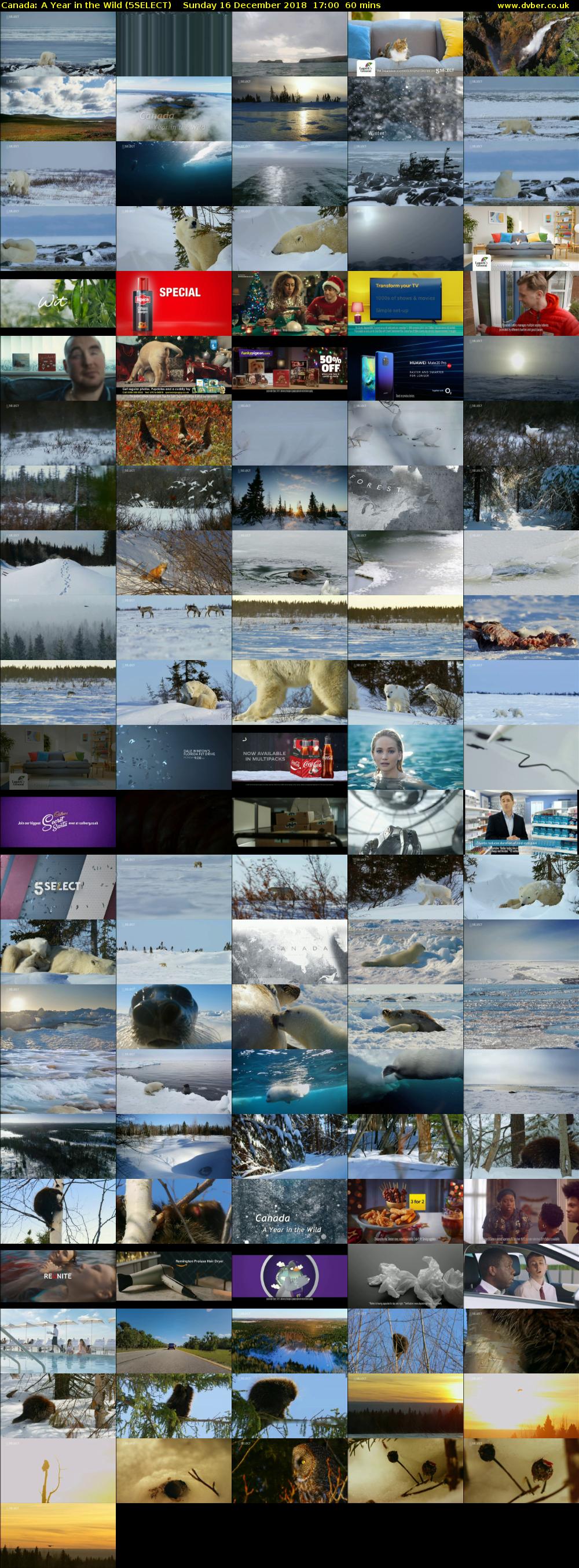 Canada: A Year in the Wild (5SELECT) Sunday 16 December 2018 17:00 - 18:00