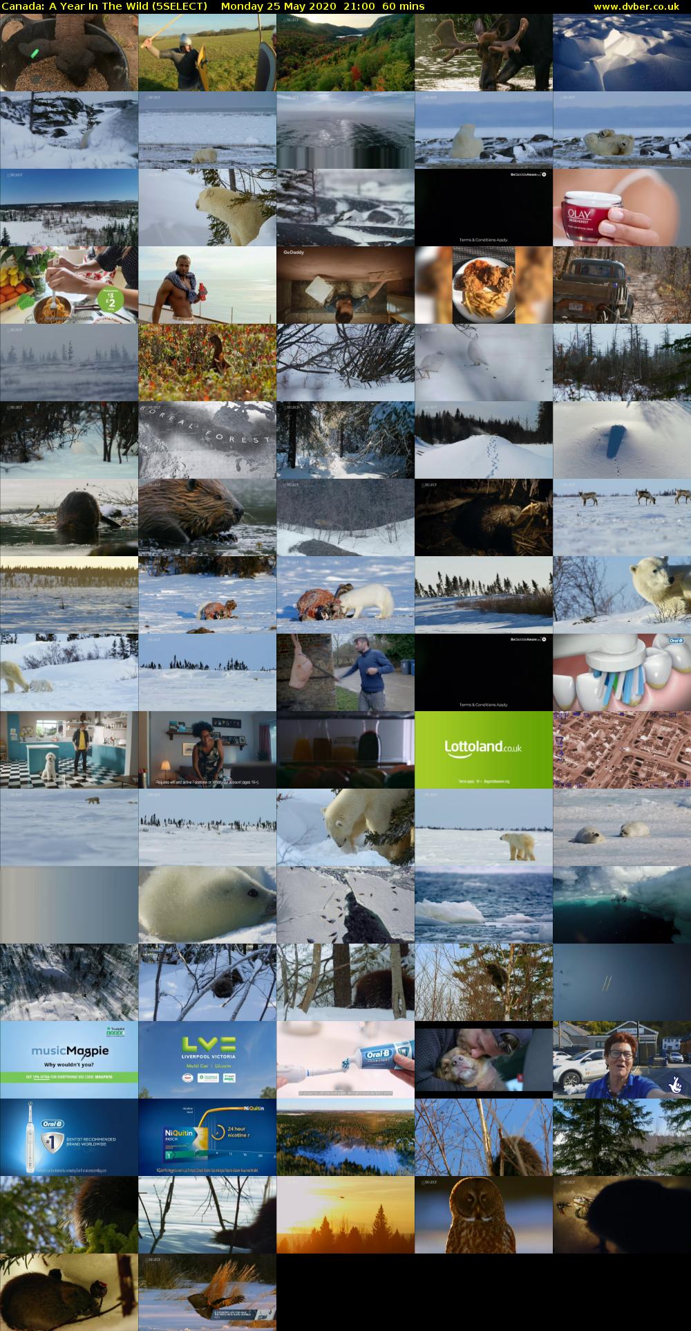 Canada: A Year in the Wild (5SELECT) Monday 25 May 2020 21:00 - 22:00