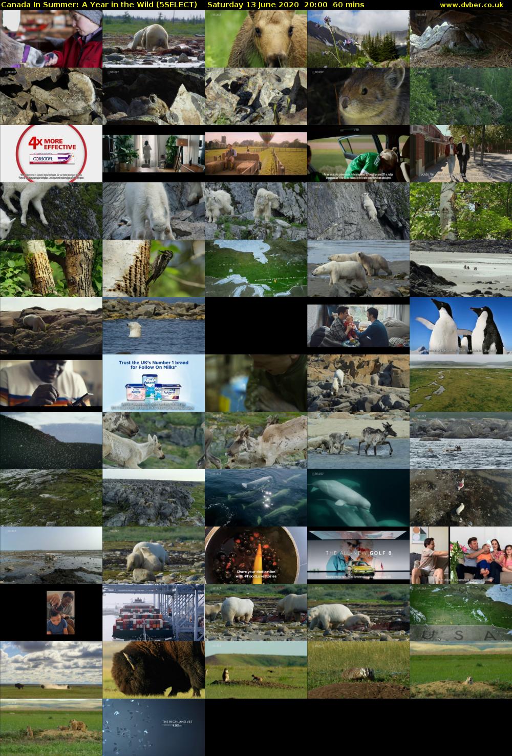 Canada In Summer: A Year in the Wild (5SELECT) Saturday 13 June 2020 20:00 - 21:00