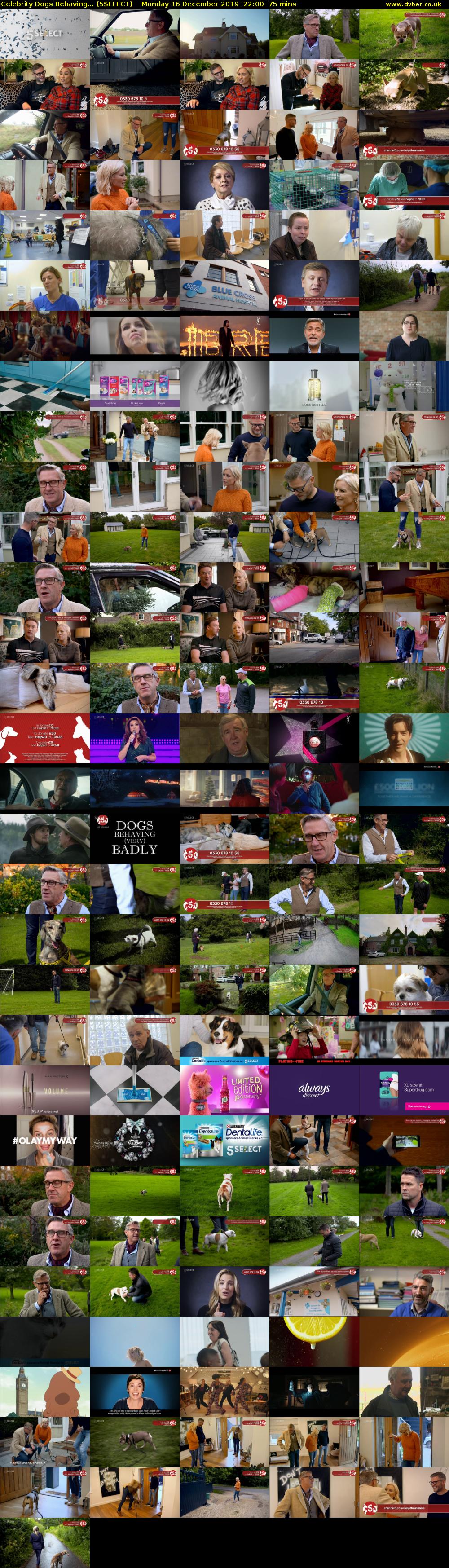 Celebrity Dogs Behaving... (5SELECT) Monday 16 December 2019 22:00 - 23:15