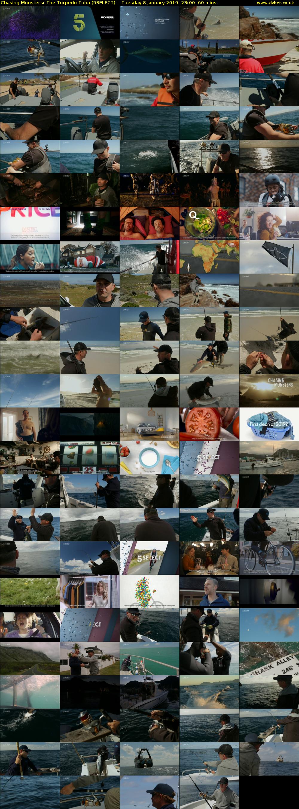 Chasing Monsters: The Torpedo Tuna (5SELECT) Tuesday 8 January 2019 23:00 - 00:00