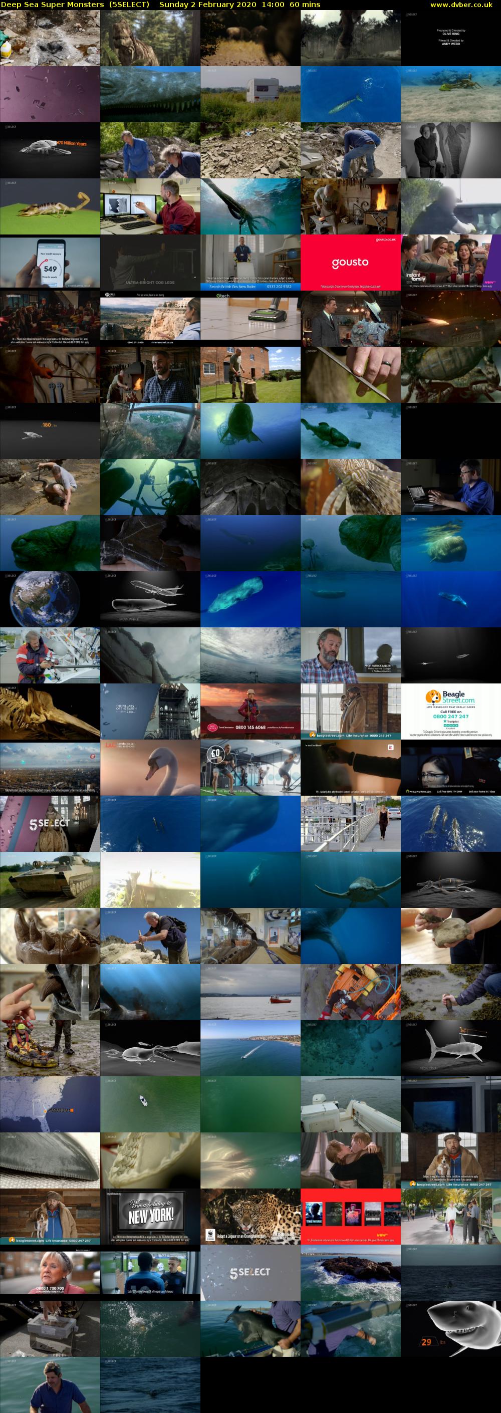 Deep Sea Super Monsters  (5SELECT) Sunday 2 February 2020 14:00 - 15:00