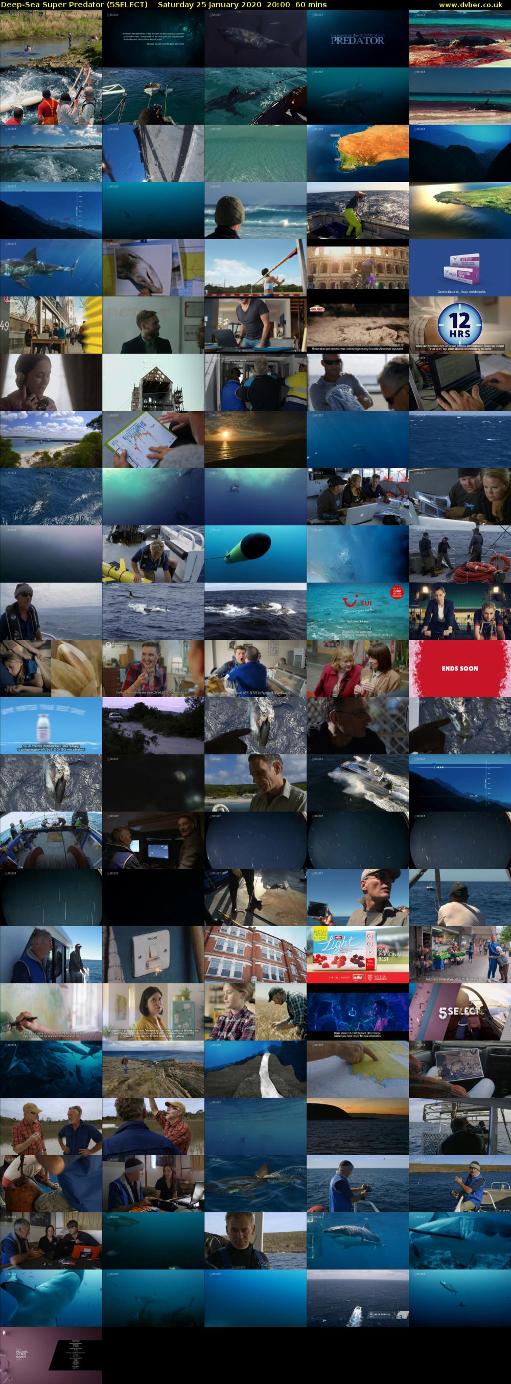 Deep-Sea Super Predator (5SELECT) Saturday 25 January 2020 20:00 - 21:00