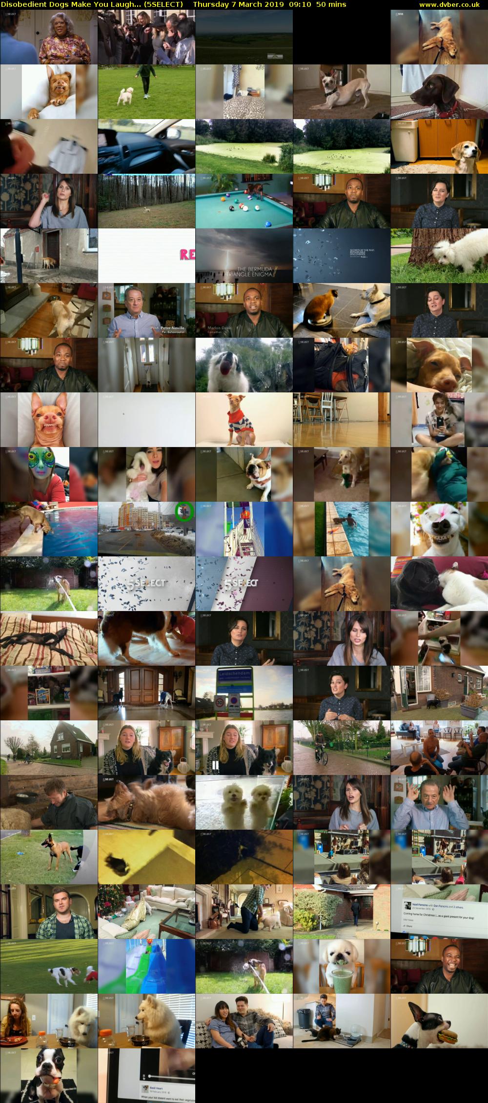 Disobedient Dogs Make You Laugh... (5SELECT) Thursday 7 March 2019 09:10 - 10:00