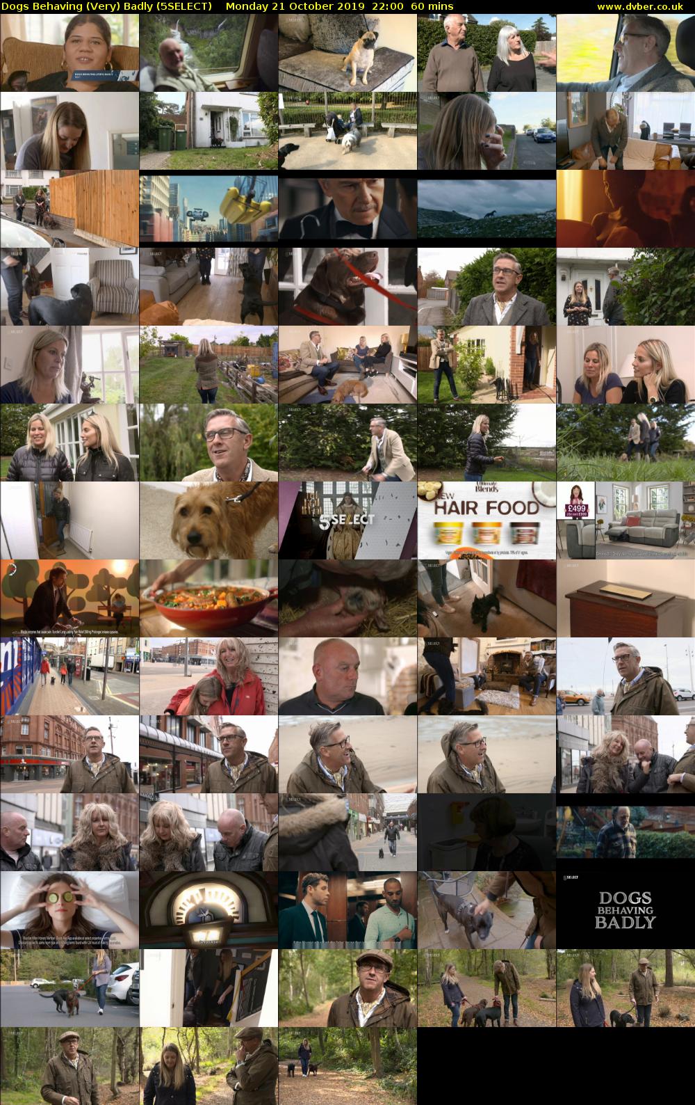 Dogs Behaving (Very) Badly (5SELECT) Monday 21 October 2019 22:00 - 23:00