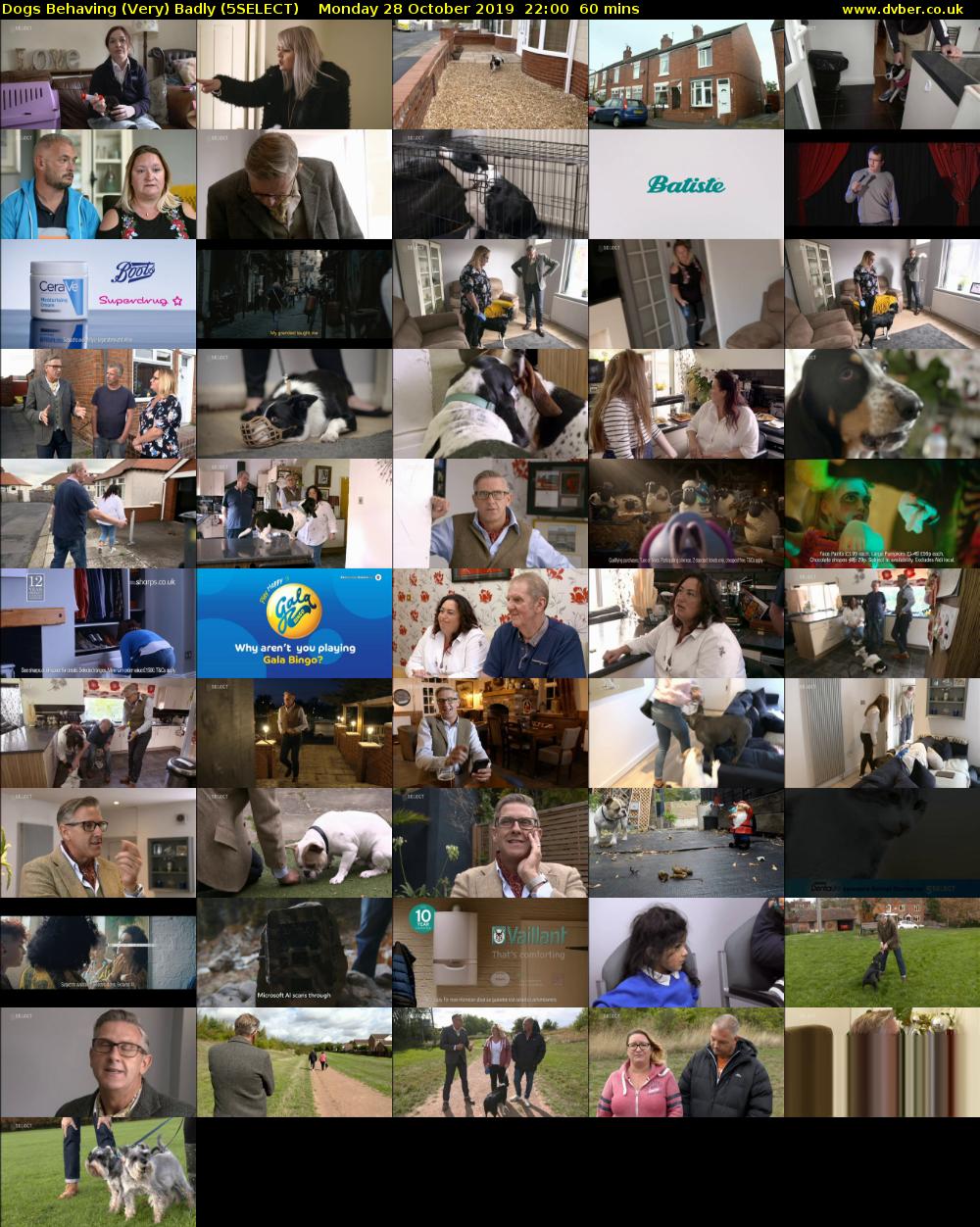 Dogs Behaving (Very) Badly (5SELECT) Monday 28 October 2019 22:00 - 23:00