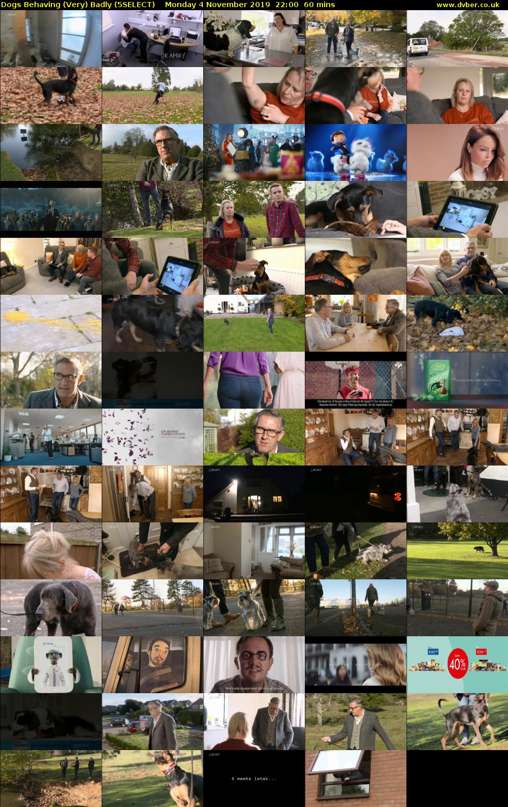 Dogs Behaving (Very) Badly (5SELECT) Monday 4 November 2019 22:00 - 23:00