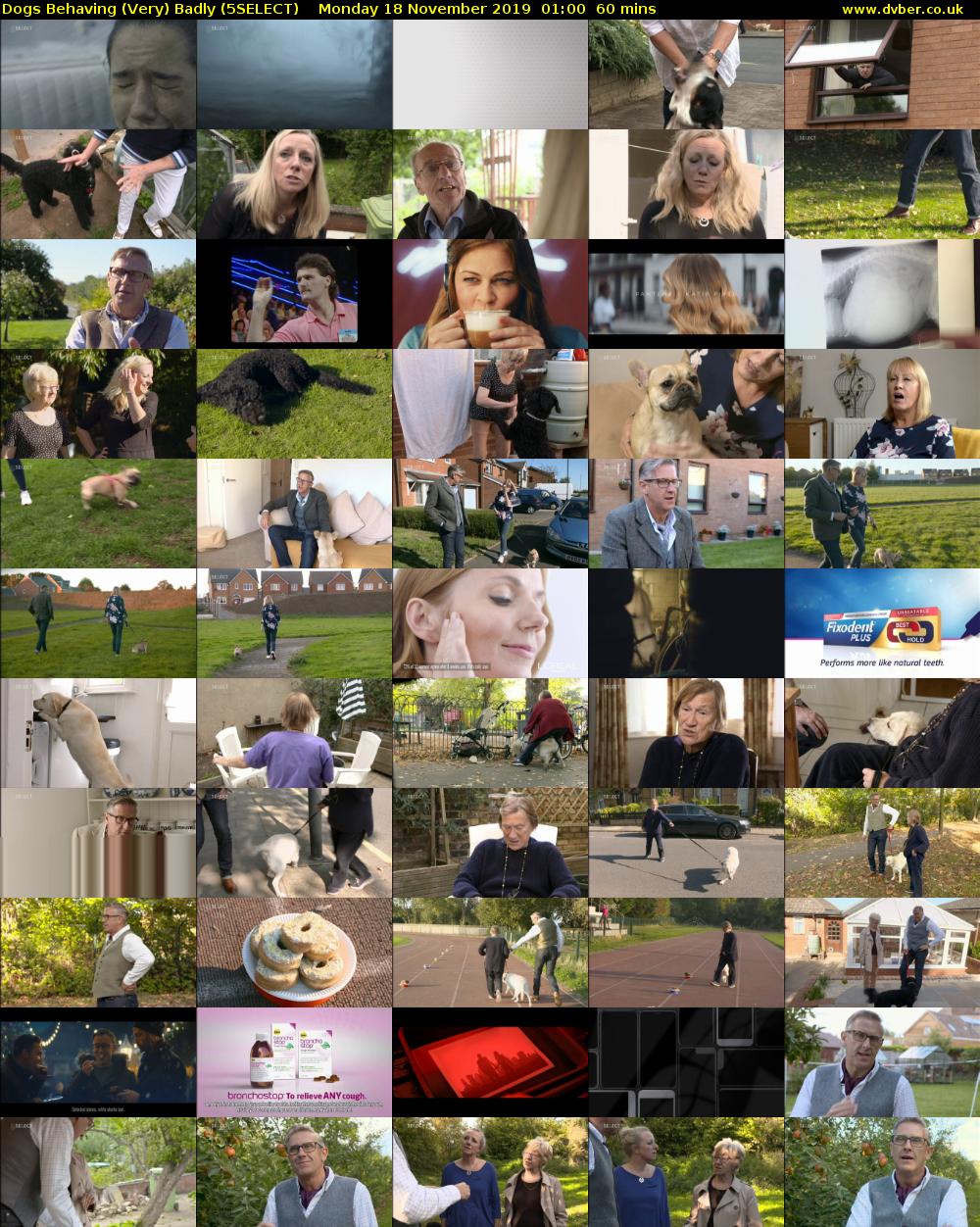 Dogs Behaving (Very) Badly (5SELECT) Monday 18 November 2019 01:00 - 02:00