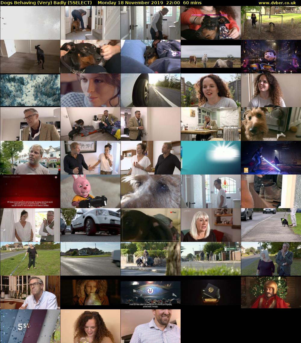 Dogs Behaving (Very) Badly (5SELECT) Monday 18 November 2019 22:00 - 23:00