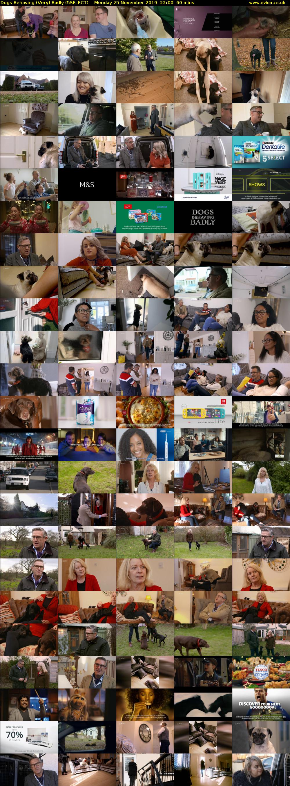 Dogs Behaving (Very) Badly (5SELECT) Monday 25 November 2019 22:00 - 23:00