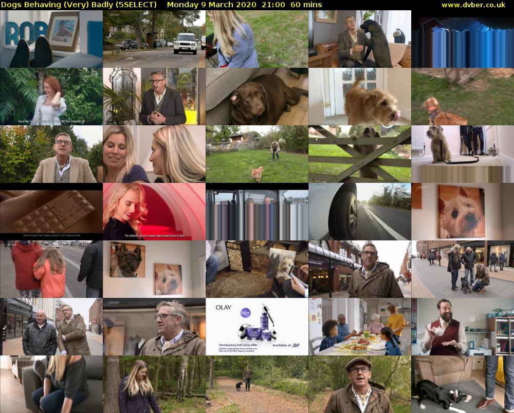 Dogs Behaving (Very) Badly (5SELECT) Monday 9 March 2020 21:00 - 22:00