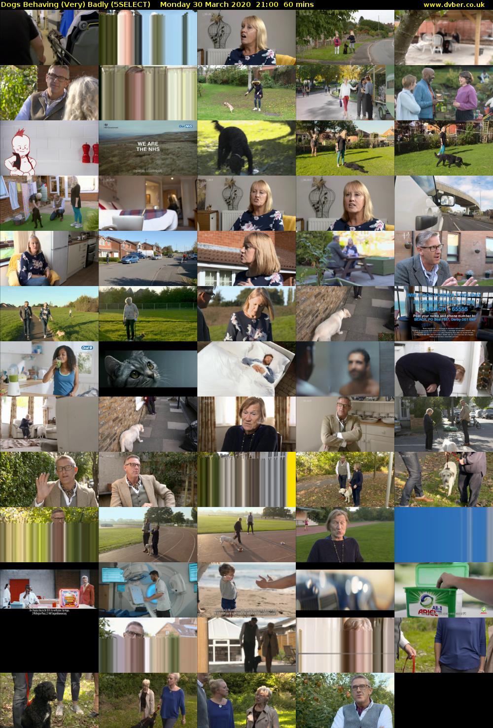 Dogs Behaving (Very) Badly (5SELECT) Monday 30 March 2020 21:00 - 22:00