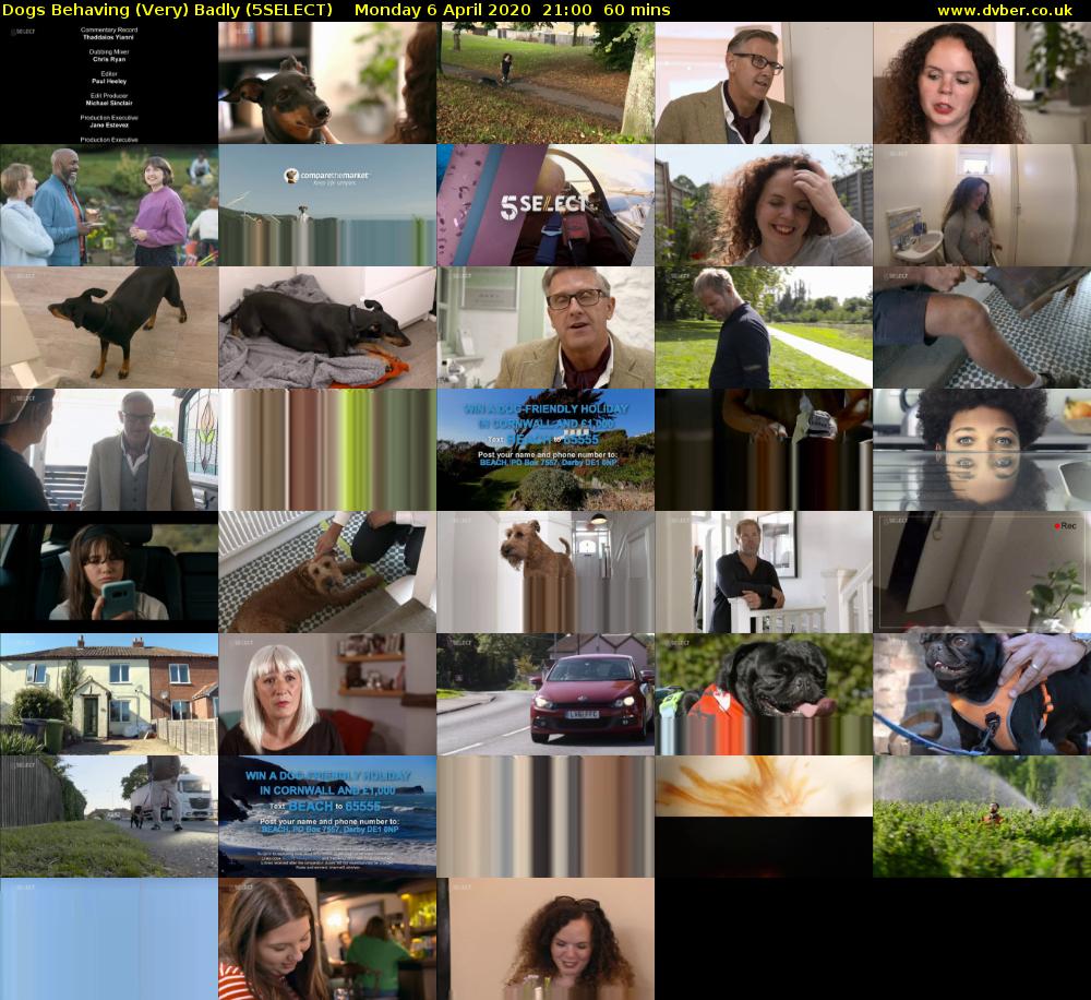 Dogs Behaving (Very) Badly (5SELECT) Monday 6 April 2020 21:00 - 22:00