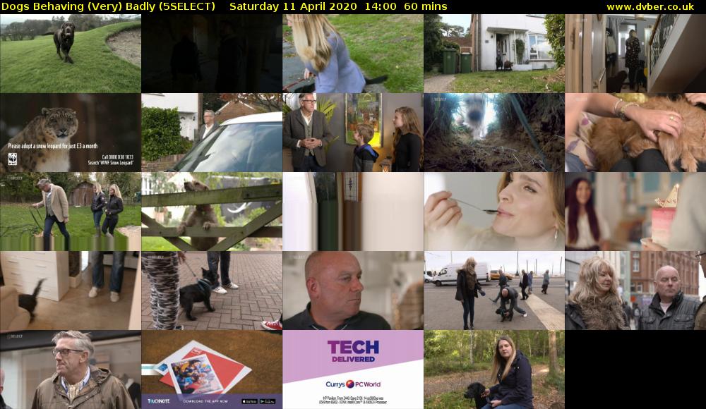 Dogs Behaving (Very) Badly (5SELECT) Saturday 11 April 2020 14:00 - 15:00
