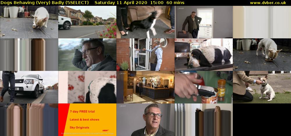 Dogs Behaving (Very) Badly (5SELECT) Saturday 11 April 2020 15:00 - 16:00