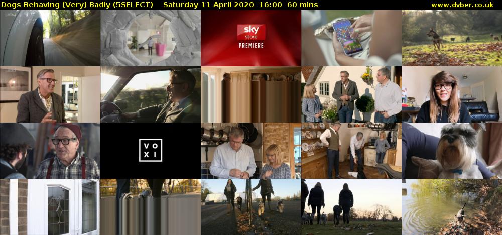Dogs Behaving (Very) Badly (5SELECT) Saturday 11 April 2020 16:00 - 17:00