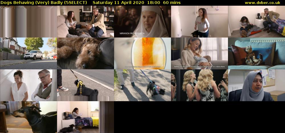 Dogs Behaving (Very) Badly (5SELECT) Saturday 11 April 2020 18:00 - 19:00