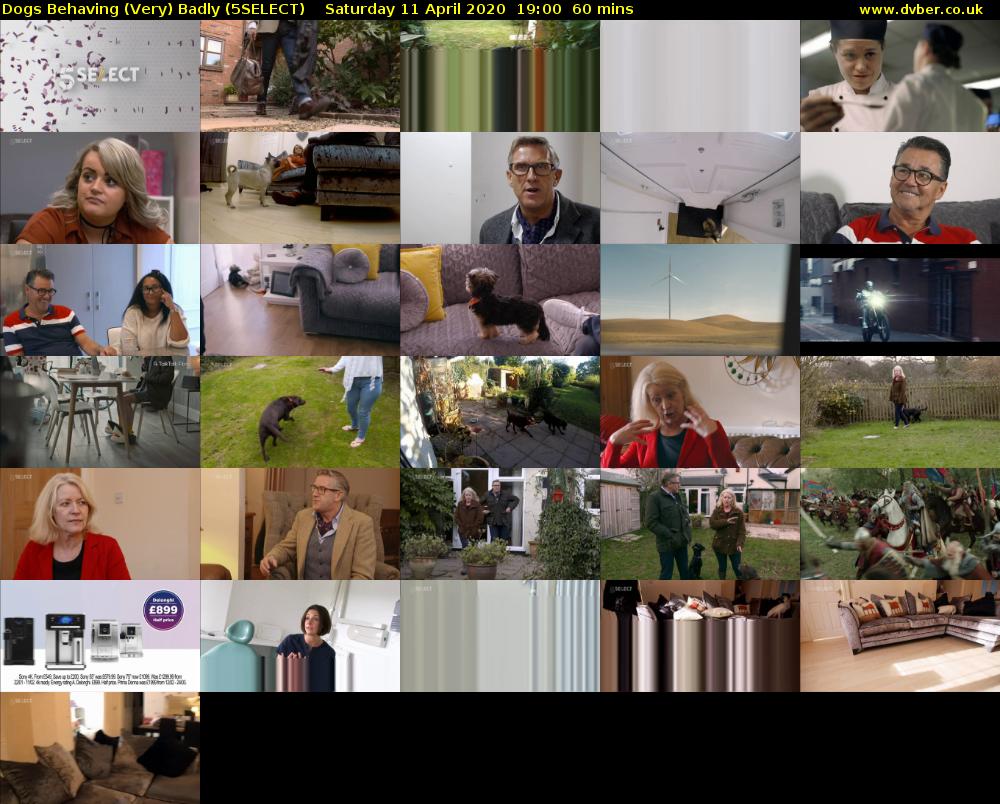 Dogs Behaving (Very) Badly (5SELECT) Saturday 11 April 2020 19:00 - 20:00