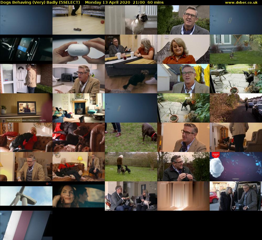 Dogs Behaving (Very) Badly (5SELECT) Monday 13 April 2020 21:00 - 22:00
