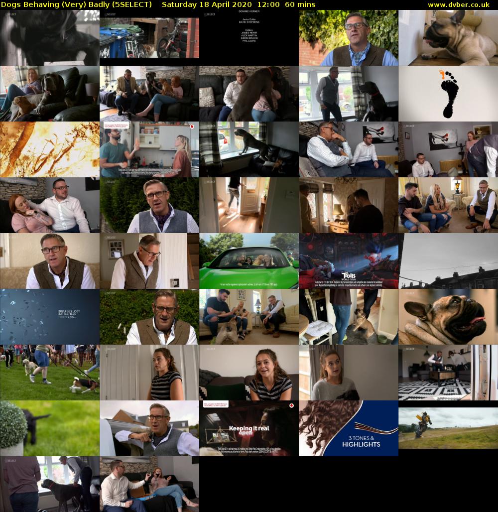 Dogs Behaving (Very) Badly (5SELECT) Saturday 18 April 2020 12:00 - 13:00