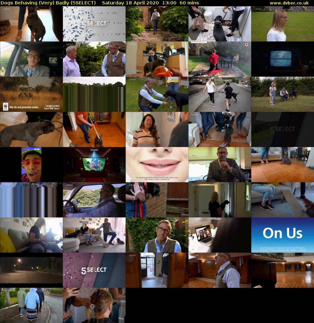 Dogs Behaving (Very) Badly (5SELECT) Saturday 18 April 2020 13:00 - 14:00