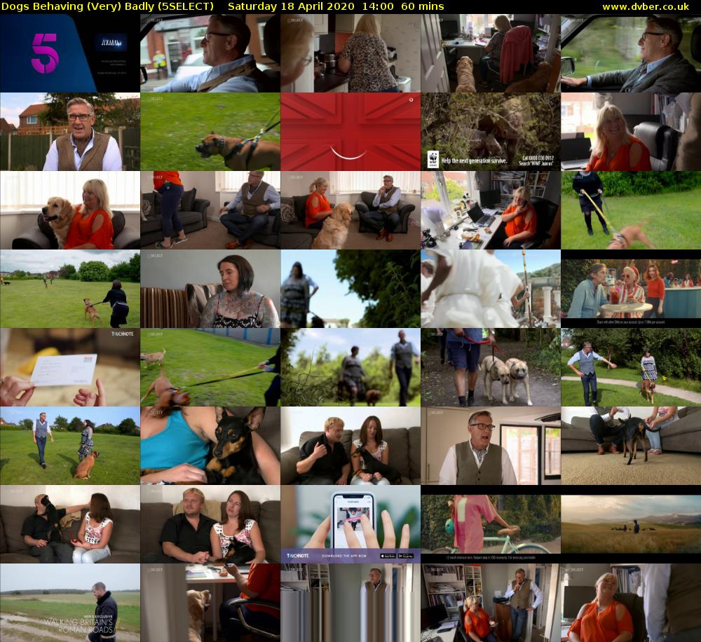 Dogs Behaving (Very) Badly (5SELECT) Saturday 18 April 2020 14:00 - 15:00
