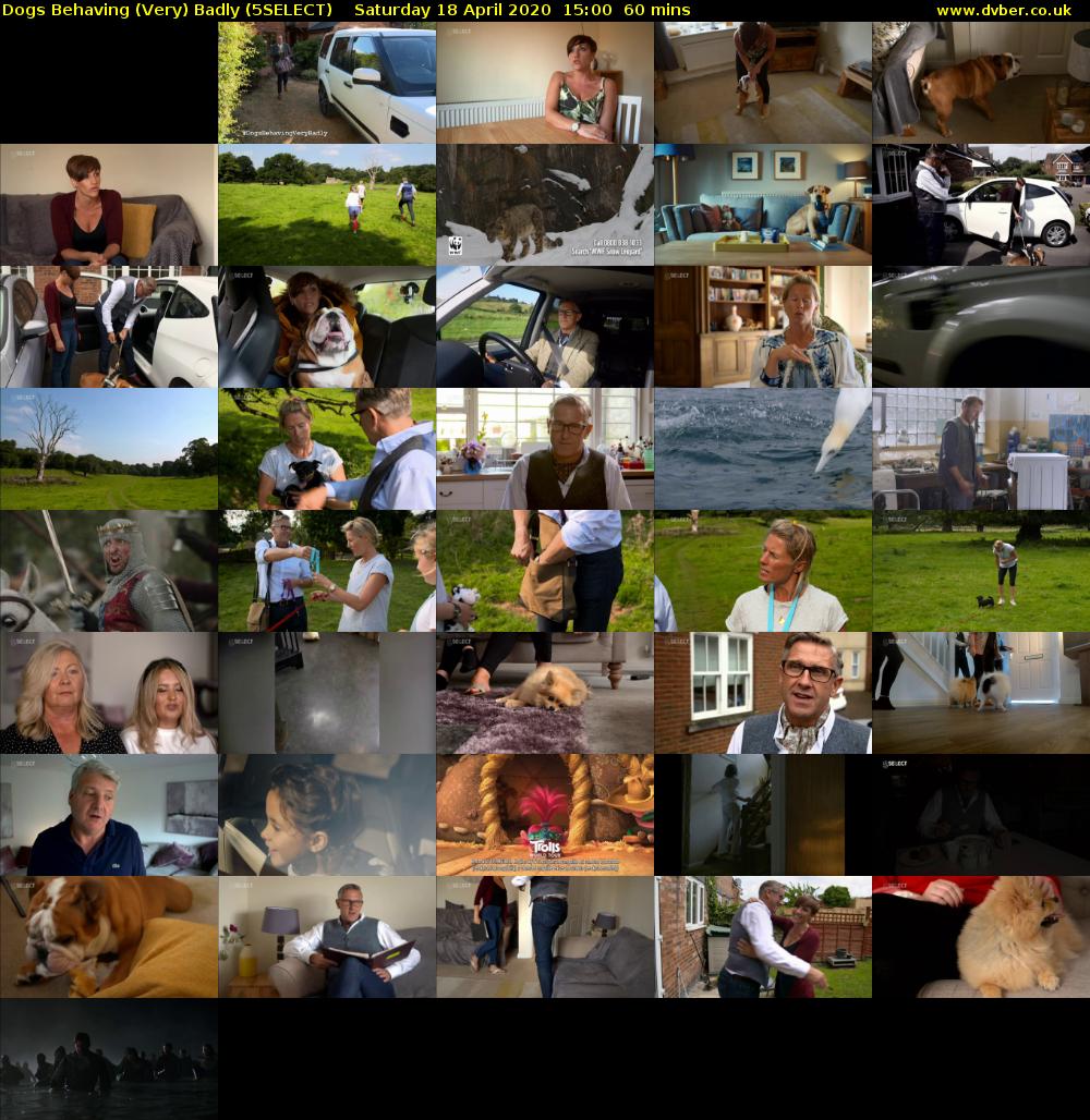 Dogs Behaving (Very) Badly (5SELECT) Saturday 18 April 2020 15:00 - 16:00