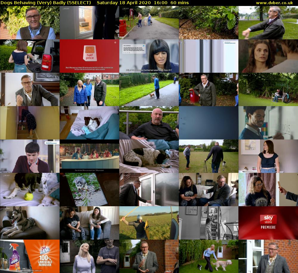 Dogs Behaving (Very) Badly (5SELECT) Saturday 18 April 2020 16:00 - 17:00