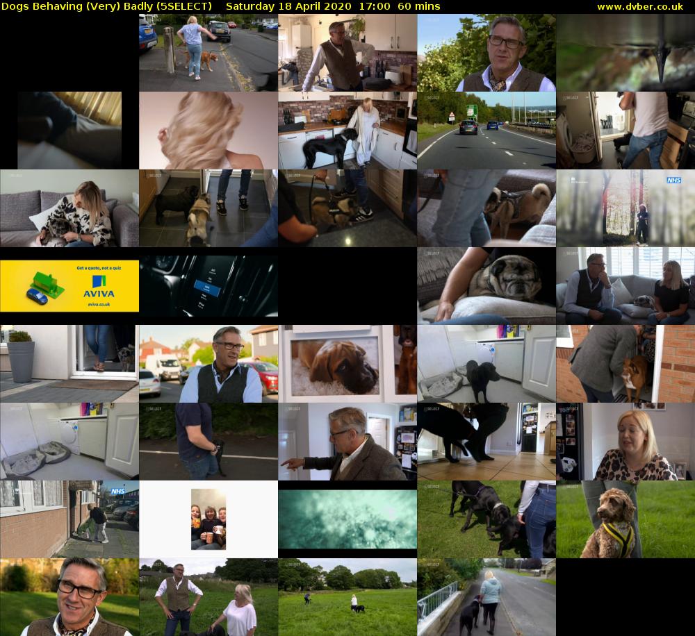 Dogs Behaving (Very) Badly (5SELECT) Saturday 18 April 2020 17:00 - 18:00