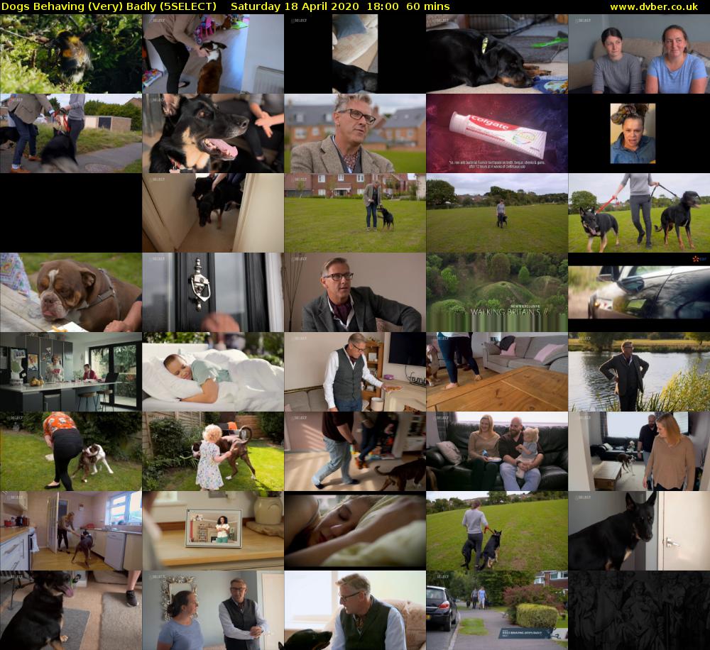 Dogs Behaving (Very) Badly (5SELECT) Saturday 18 April 2020 18:00 - 19:00