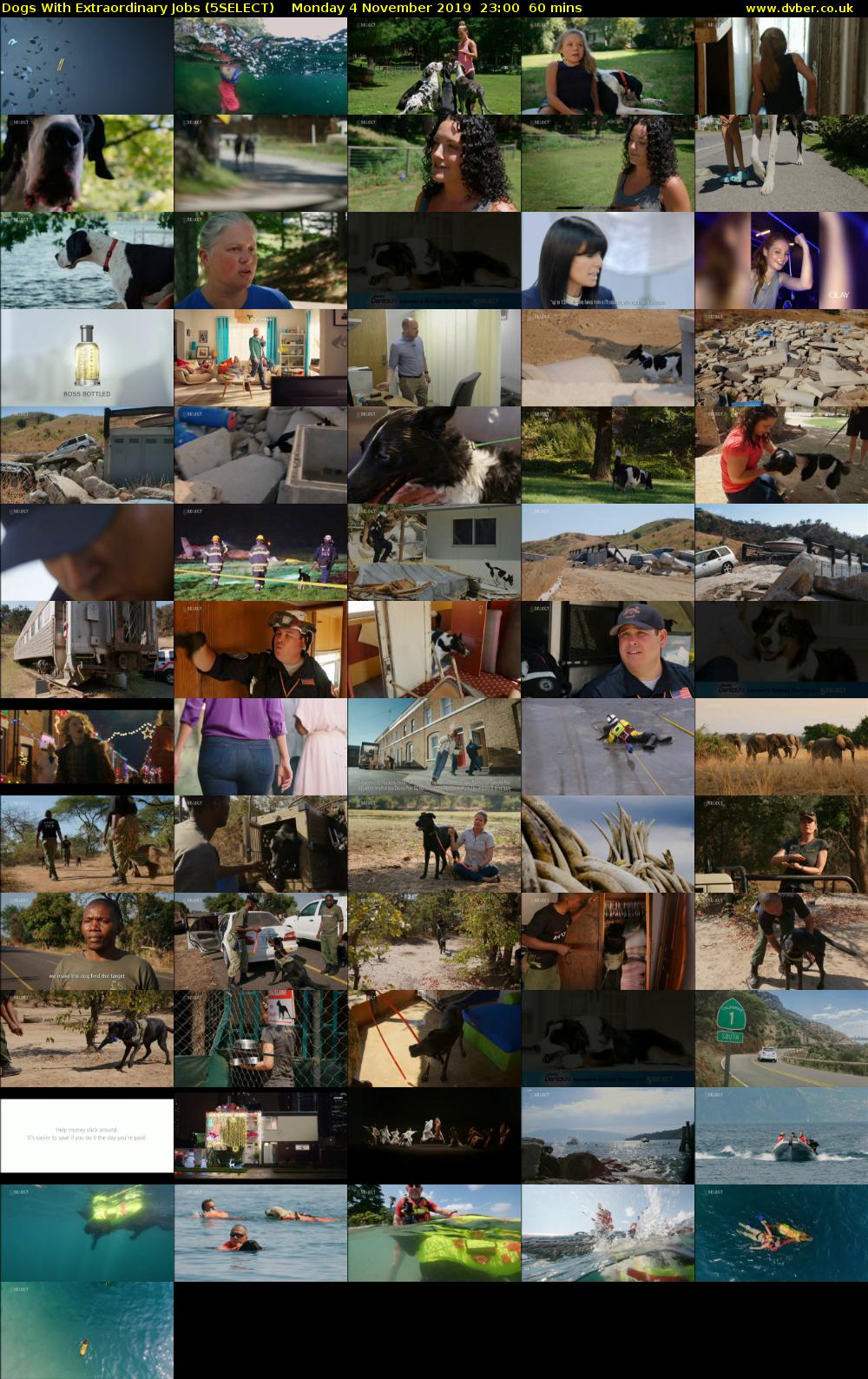 Dogs With Extraordinary Jobs (5SELECT) Monday 4 November 2019 23:00 - 00:00