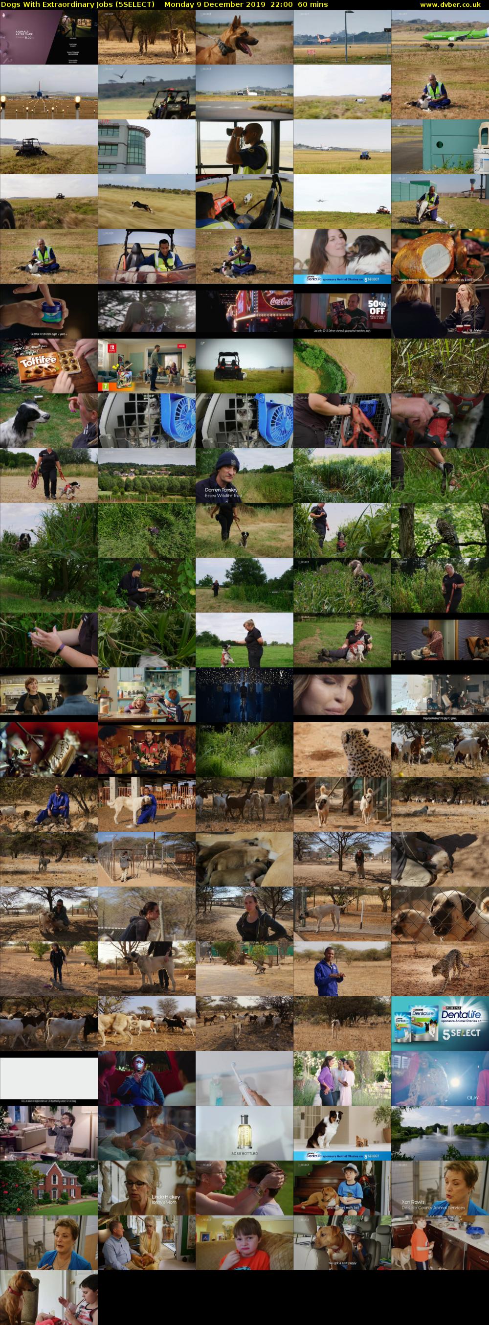 Dogs With Extraordinary Jobs (5SELECT) Monday 9 December 2019 22:00 - 23:00