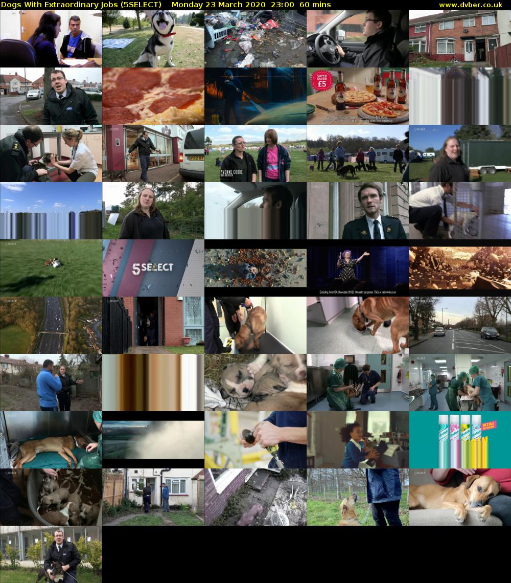 Dogs With Extraordinary Jobs (5SELECT) Monday 23 March 2020 23:00 - 00:00