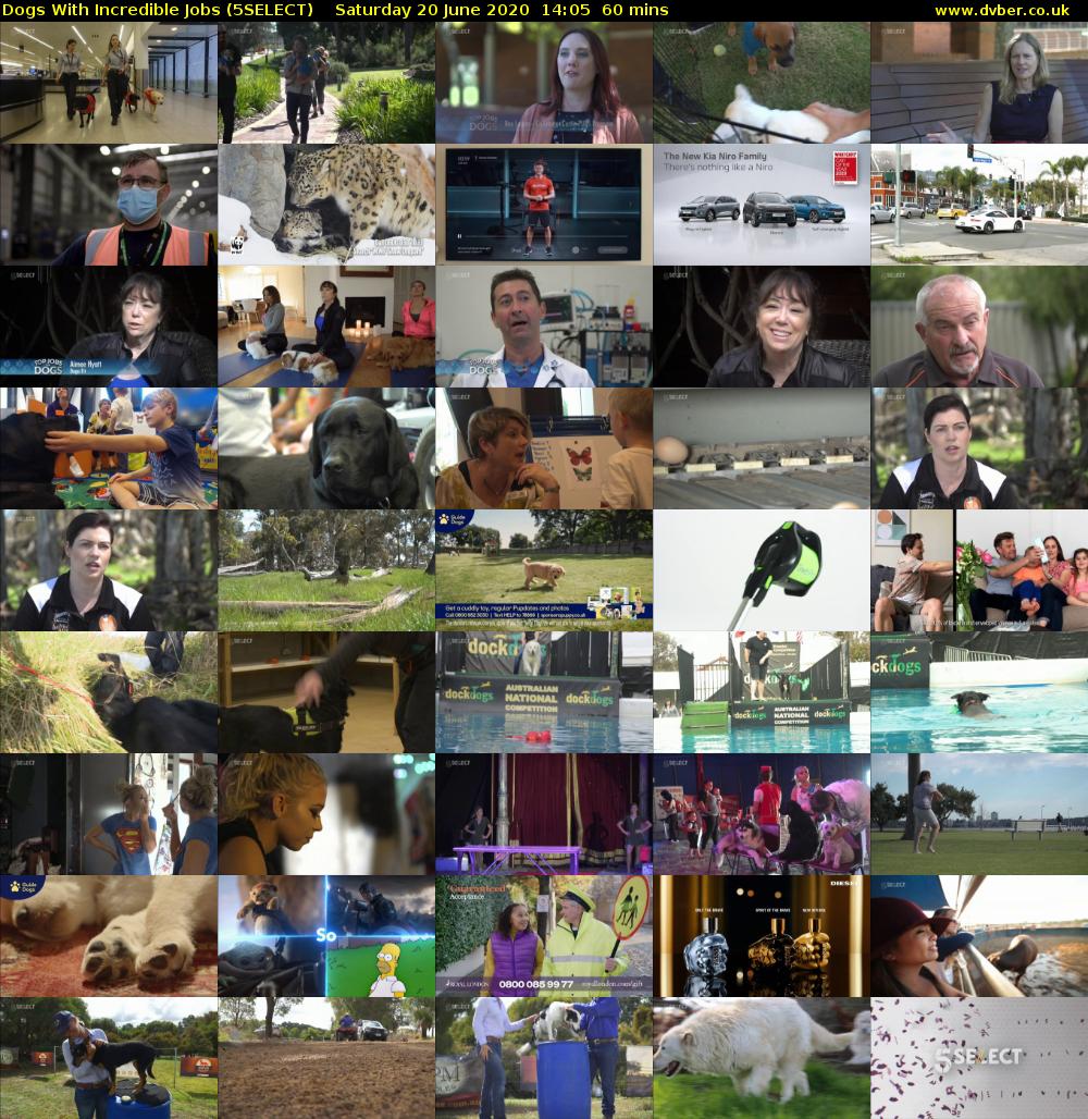 Dogs With Incredible Jobs (5SELECT) Saturday 20 June 2020 14:05 - 15:05