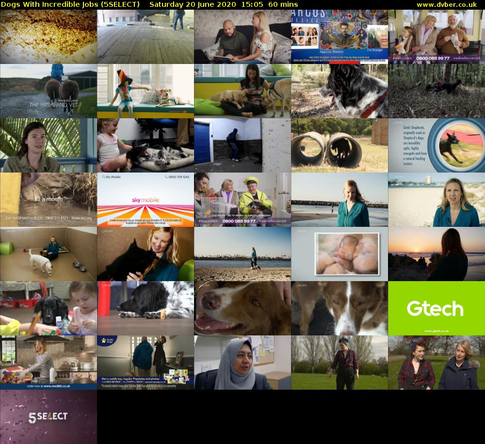 Dogs With Incredible Jobs (5SELECT) Saturday 20 June 2020 15:05 - 16:05