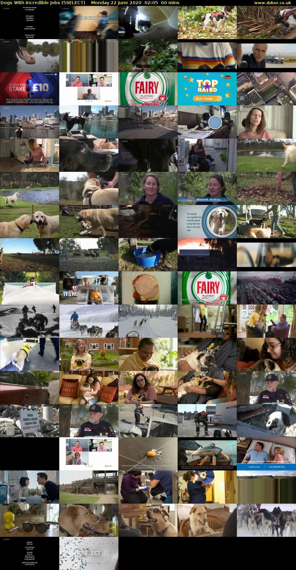 Dogs With Incredible Jobs (5SELECT) Monday 22 June 2020 02:05 - 03:05