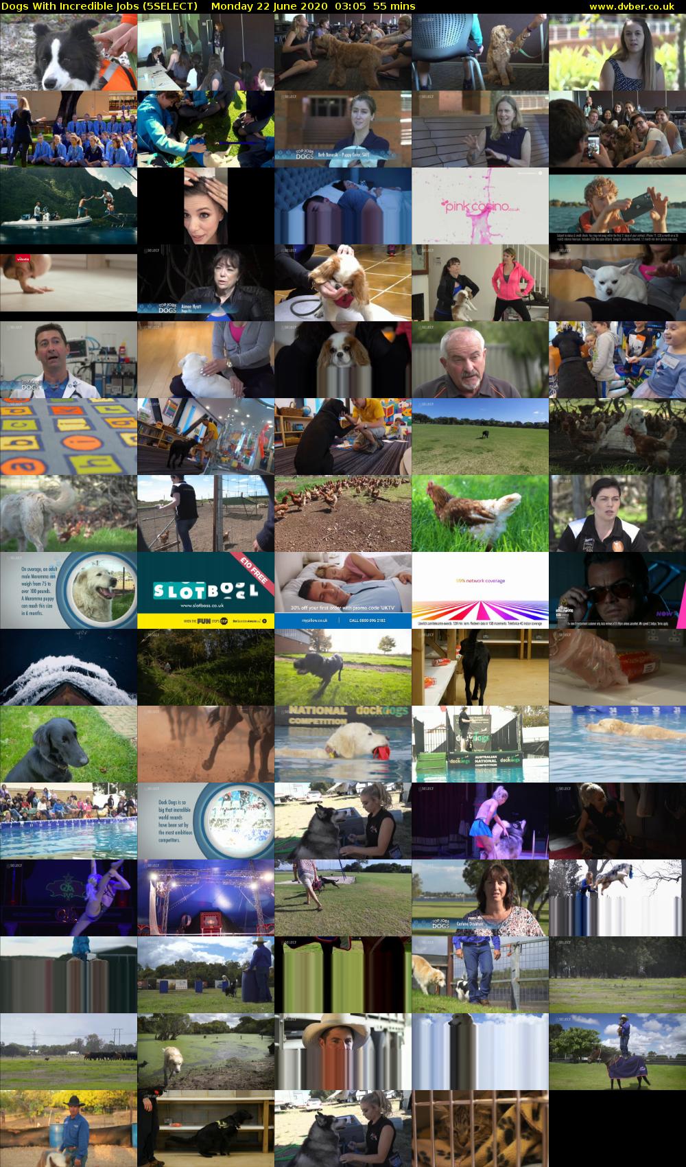 Dogs With Incredible Jobs (5SELECT) Monday 22 June 2020 03:05 - 04:00