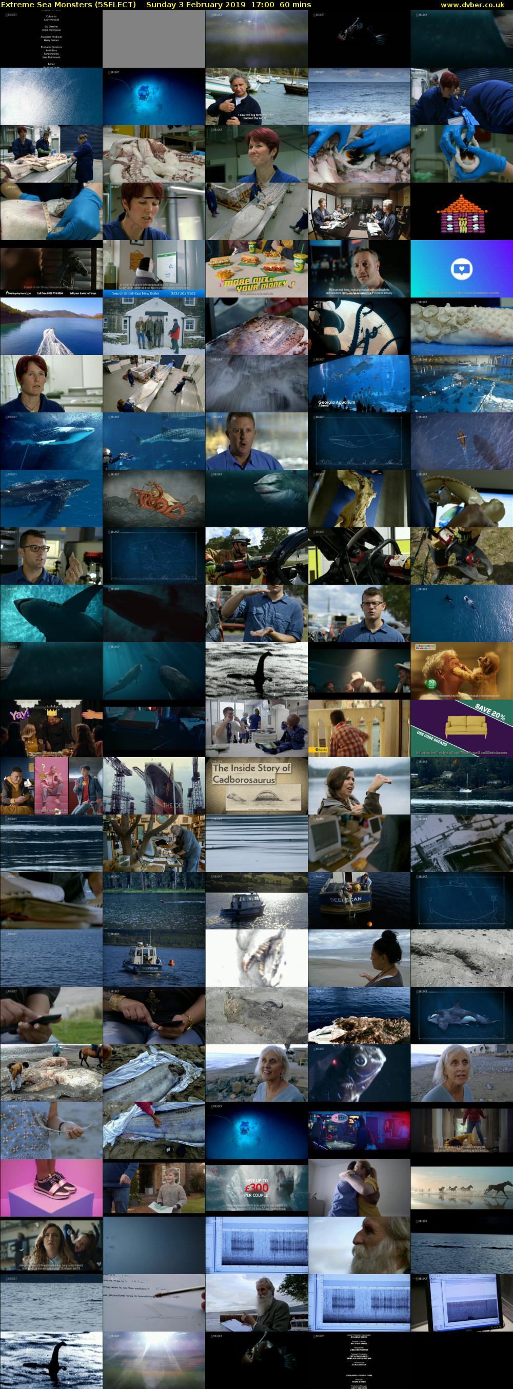 Extreme Sea Monsters (5SELECT) Sunday 3 February 2019 17:00 - 18:00