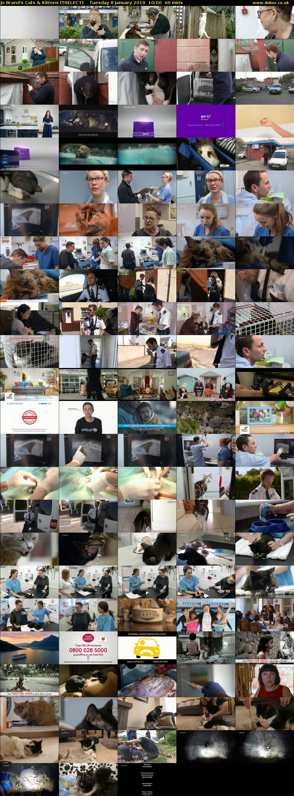 Jo Brand's Cats & Kittens (5SELECT) Tuesday 8 January 2019 10:00 - 11:00