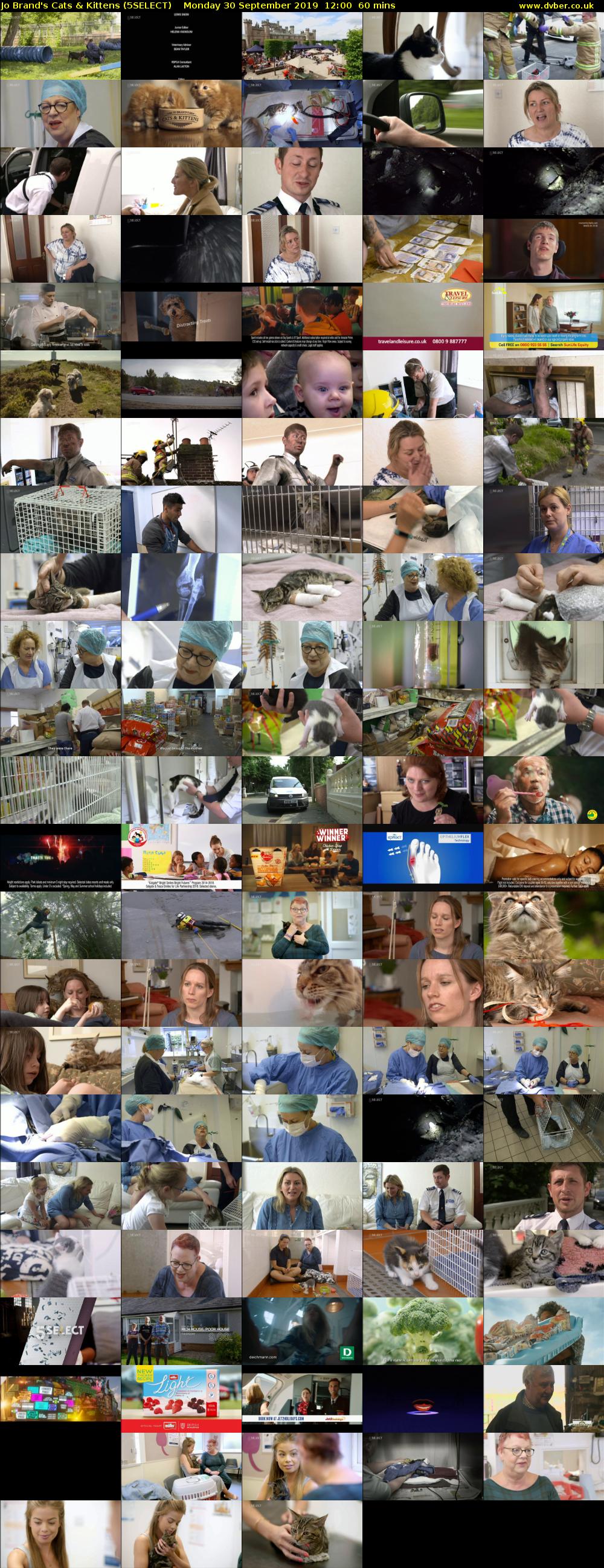 Jo Brand's Cats & Kittens (5SELECT) Monday 30 September 2019 12:00 - 13:00