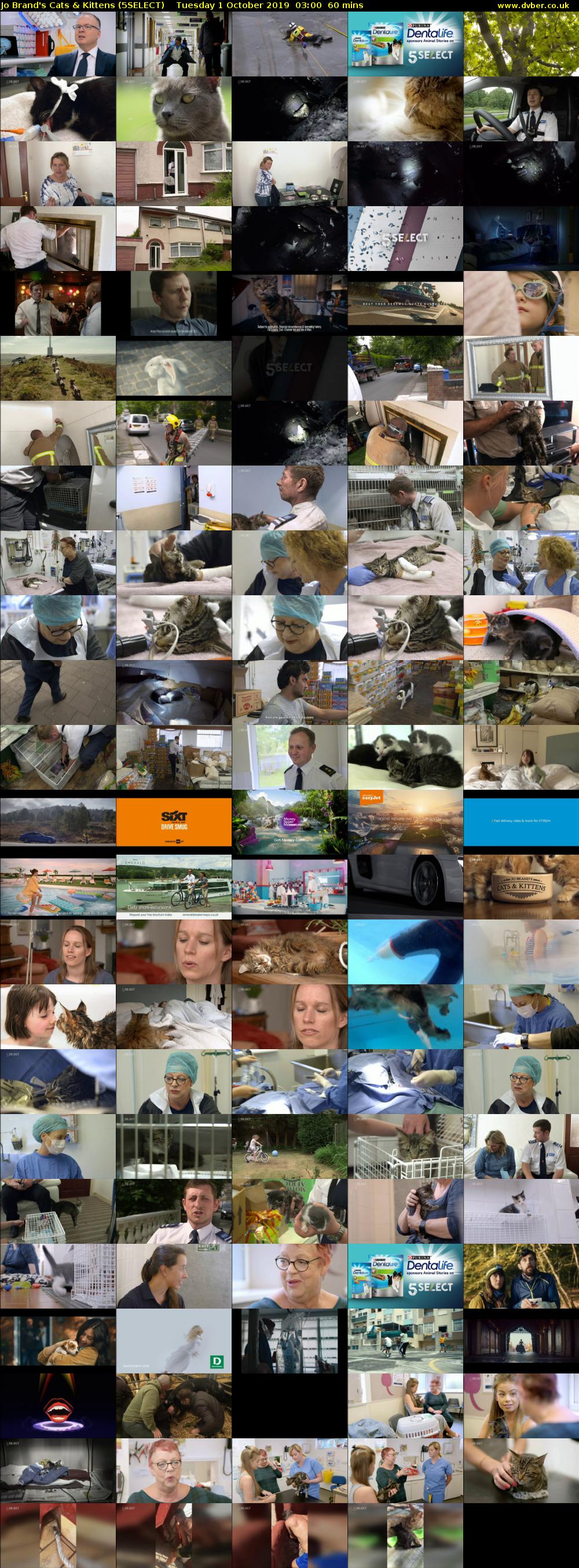 Jo Brand's Cats & Kittens (5SELECT) Tuesday 1 October 2019 03:00 - 04:00
