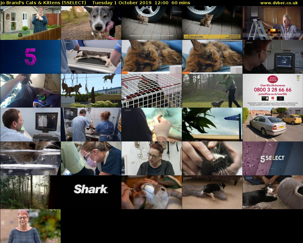 Jo Brand's Cats & Kittens (5SELECT) Tuesday 1 October 2019 12:00 - 13:00