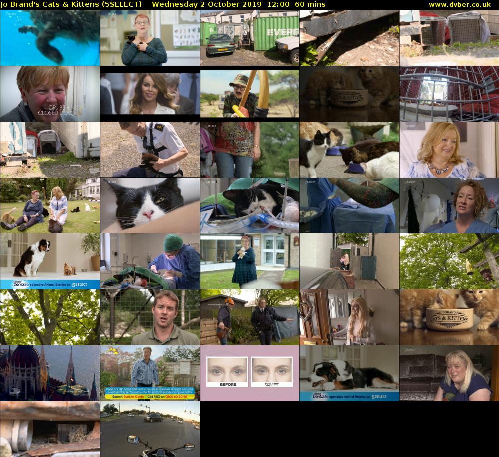 Jo Brand's Cats & Kittens (5SELECT) Wednesday 2 October 2019 12:00 - 13:00
