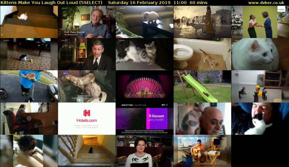 Kittens Make You Laugh Out Loud (5SELECT) Saturday 16 February 2019 11:00 - 12:00