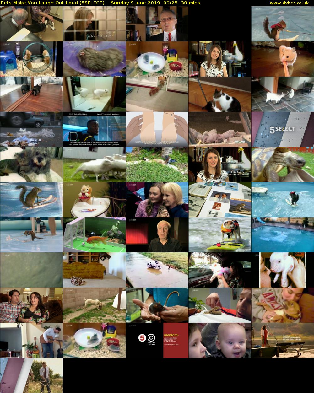 Pets Make You Laugh Out Loud (5SELECT) Sunday 9 June 2019 09:25 - 09:55