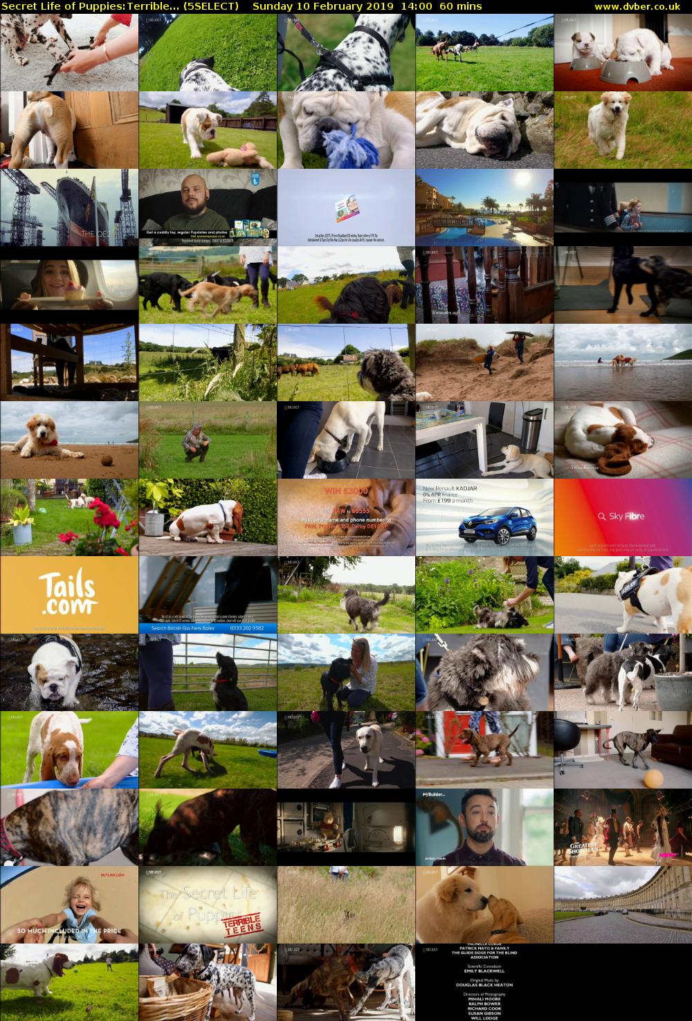 Secret Life of Puppies:Terrible... (5SELECT) Sunday 10 February 2019 14:00 - 15:00