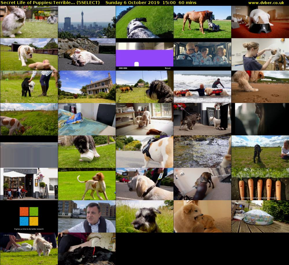 Secret Life of Puppies:Terrible... (5SELECT) Sunday 6 October 2019 15:00 - 16:00