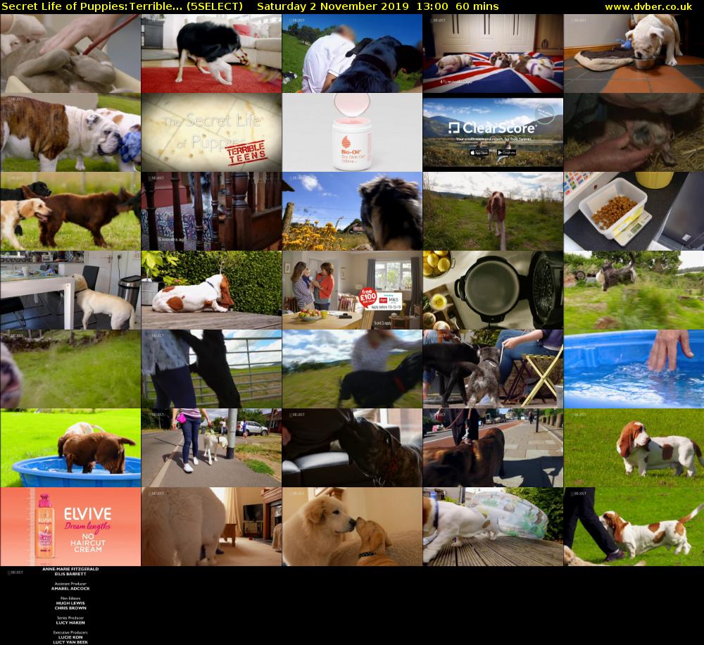 Secret Life of Puppies:Terrible... (5SELECT) Saturday 2 November 2019 13:00 - 14:00