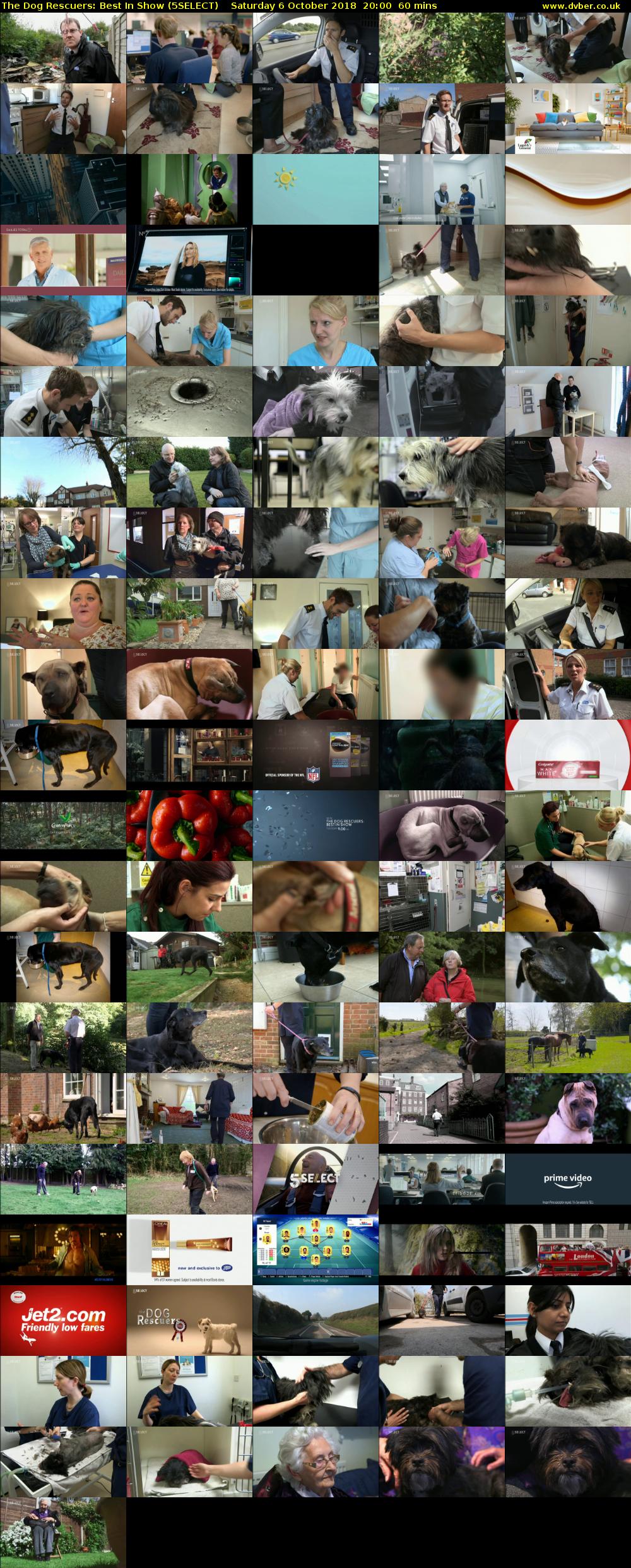 The Dog Rescuers: Best In Show (5SELECT) Saturday 6 October 2018 20:00 - 21:00